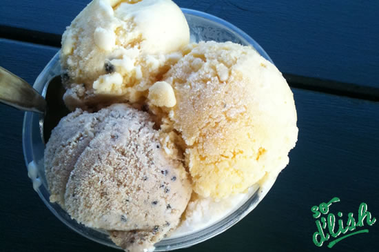 Daintree Ice Cream Company